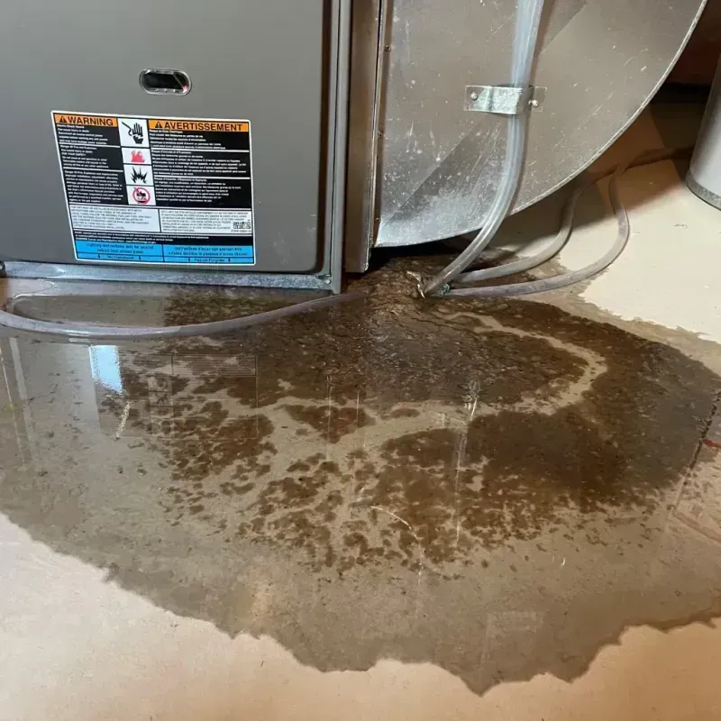 Appliance Leak Cleanup in Ennis, TX